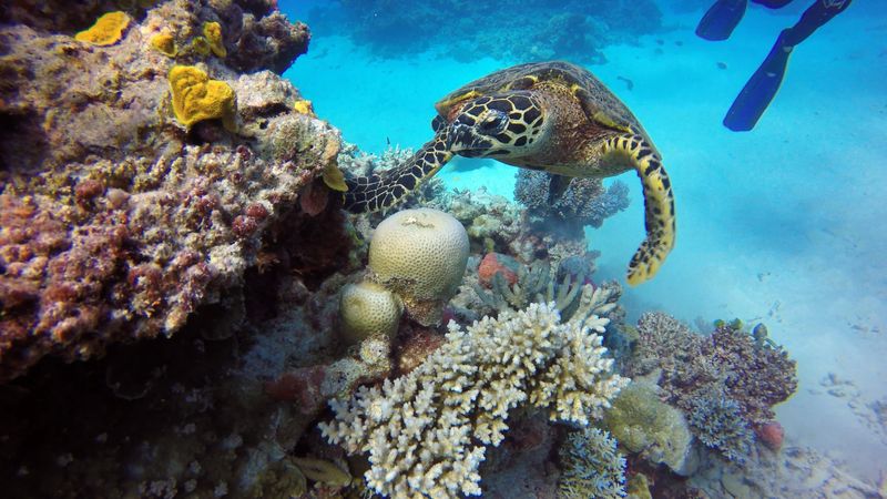 Visit Queensland