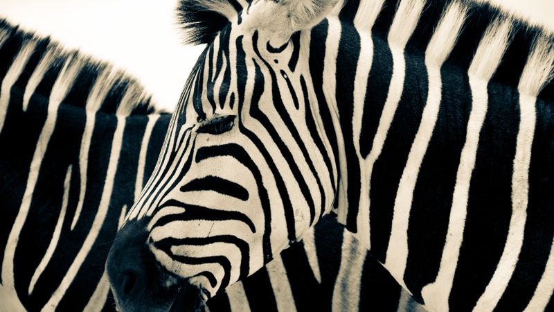 South Africa Vacation Rentals