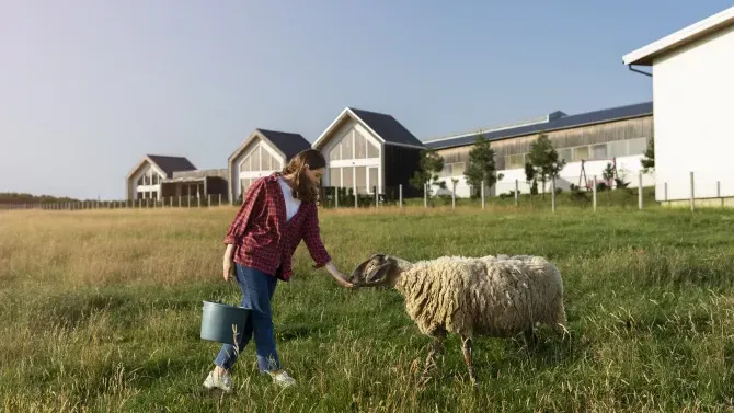 Farmstay Rentals