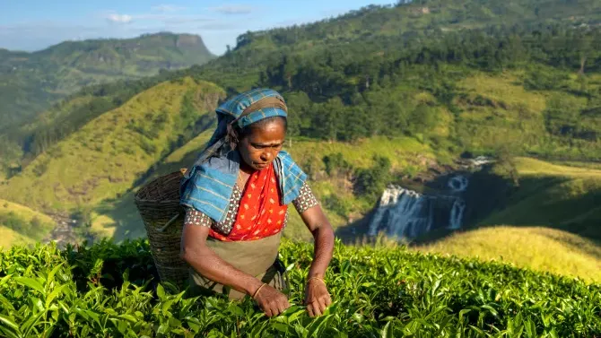 Explore Sri Lanka
