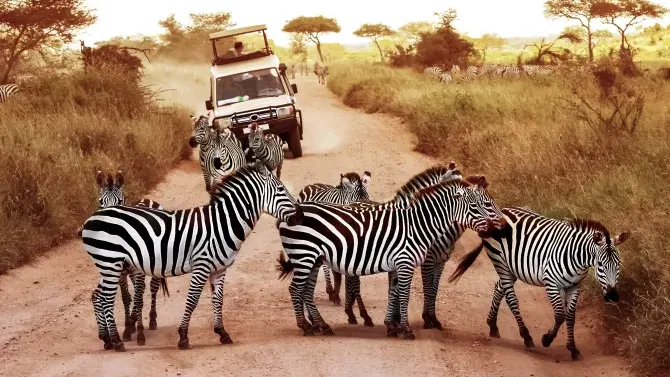 Visit Tanzania